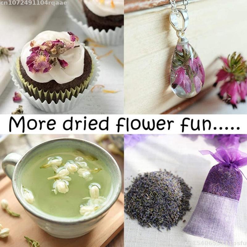 Fiori Secchi 100% Naturali Bra - Candle Making Material Wholesale recensione e prezzo